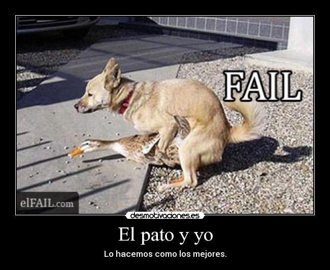 El pato y yo -