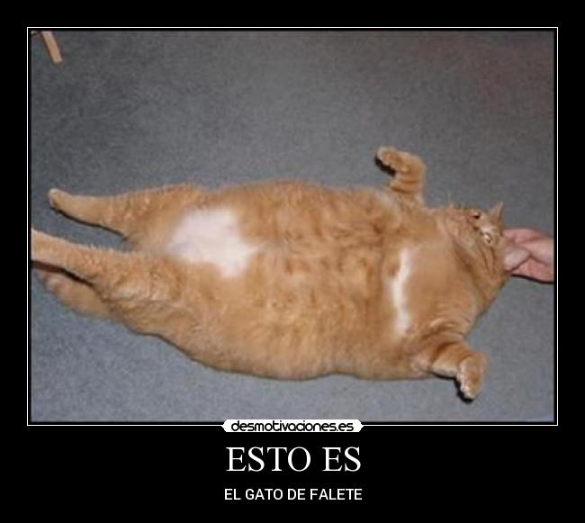 ESTO ES -