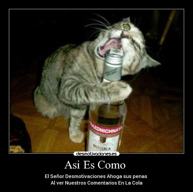 Asi Es Como  - 