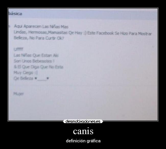 canis - 