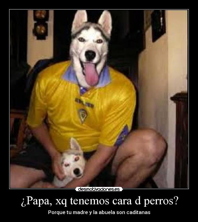 ¿Papa, xq tenemos cara d perros? - 