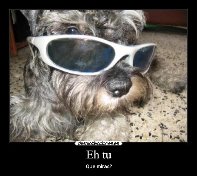 Eh tu - Que miras?