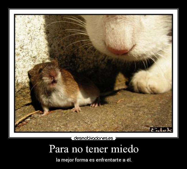 Para no tener miedo - 