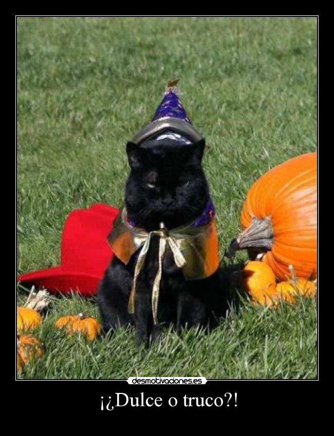 ¡¿Dulce o truco?! -