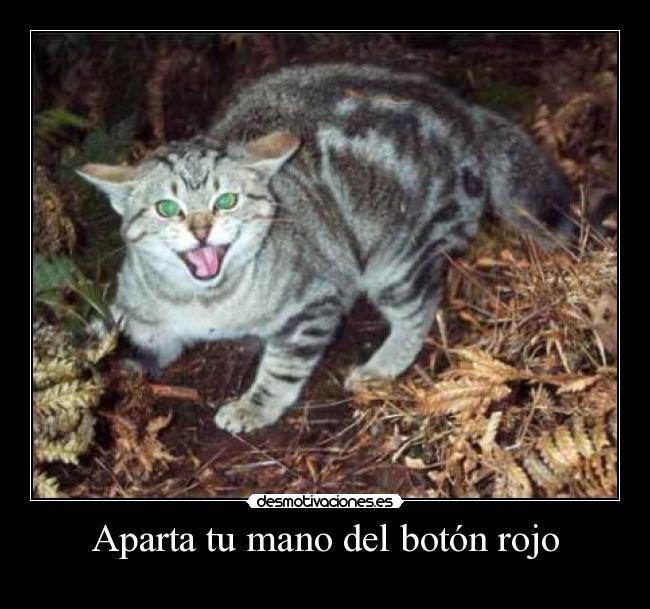 Aparta tu mano del botón rojo - 
