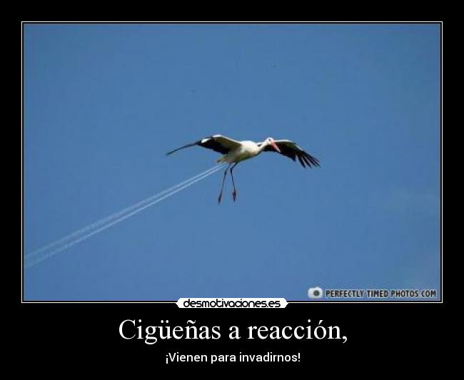 Cigüeñas a reacción, - 