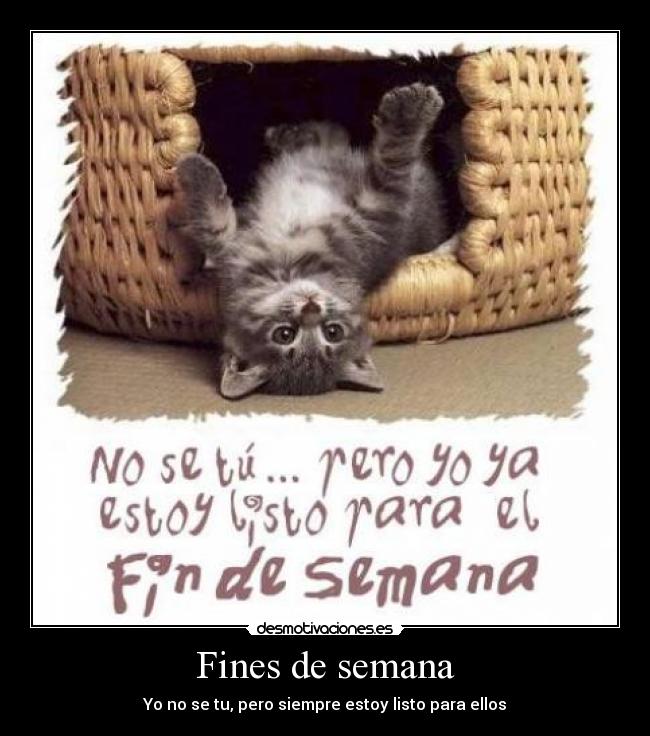 Fines de semana - Yo no se tu, pero siempre estoy listo para ellos