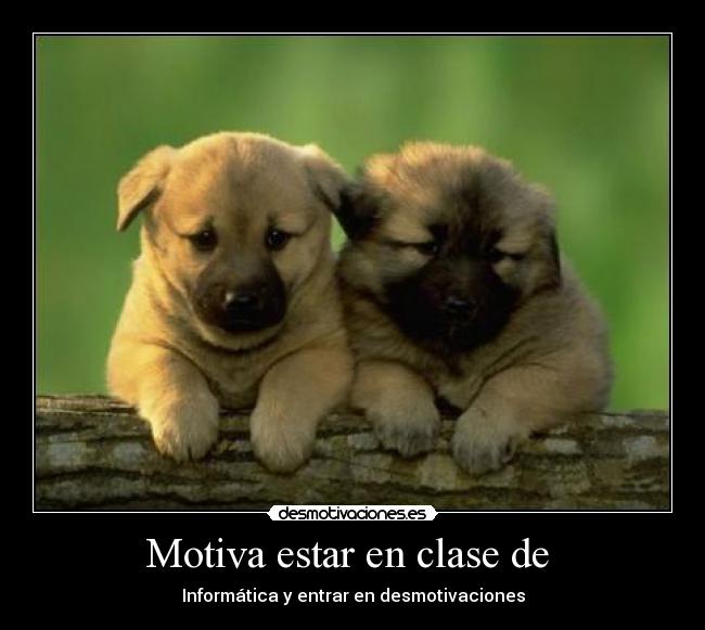 carteles chincheta desmotivaciones