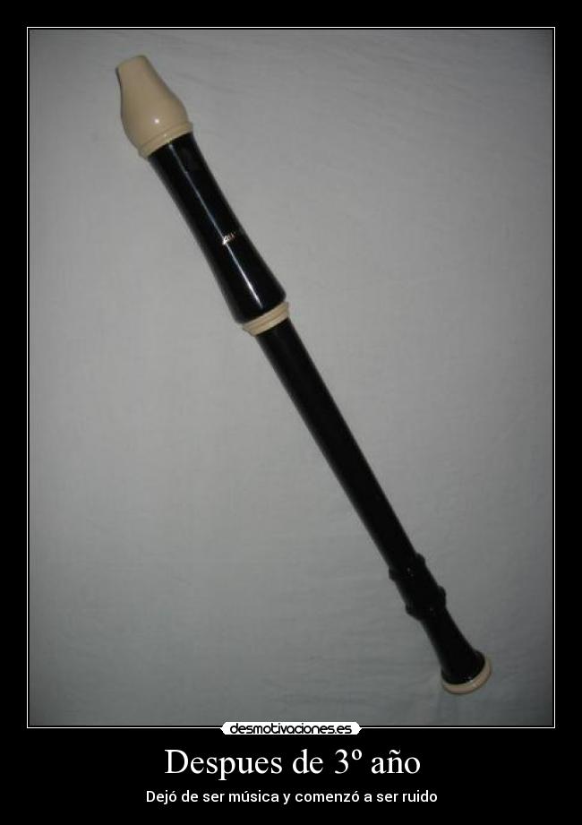 Despues de 3º año -