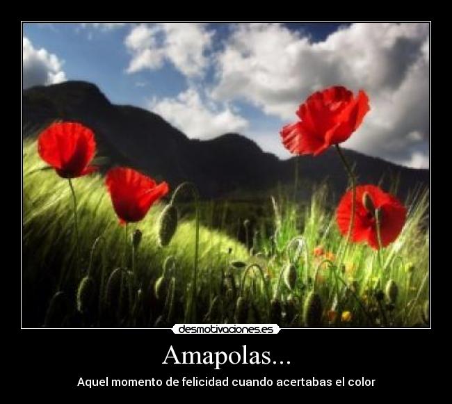 Amapolas... - Aquel momento de felicidad cuando acertabas el color