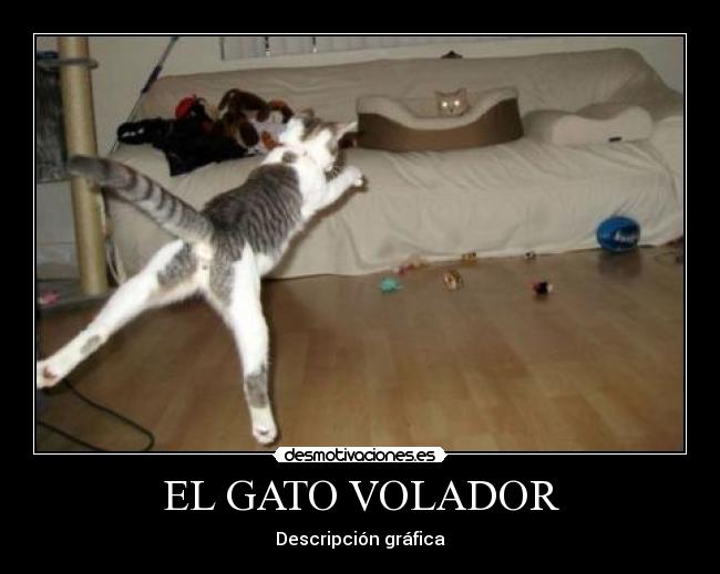 carteles gatosvolador desmotivaciones