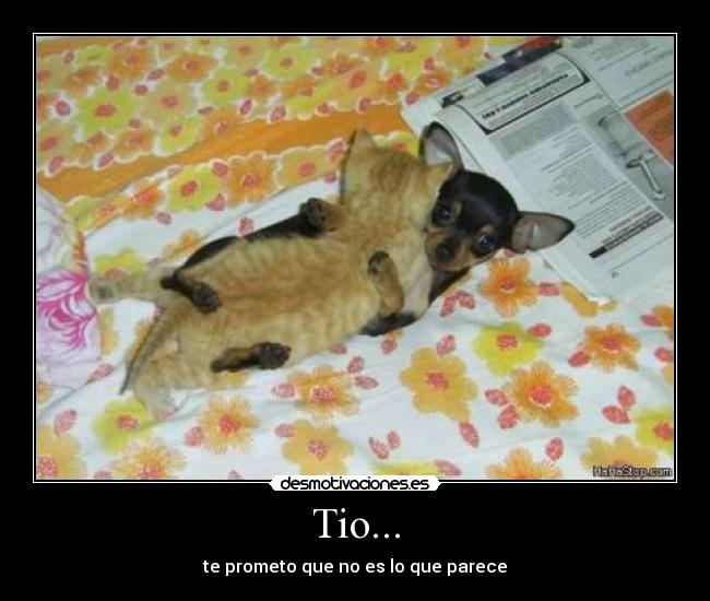 Tio... - te prometo que no es lo que parece