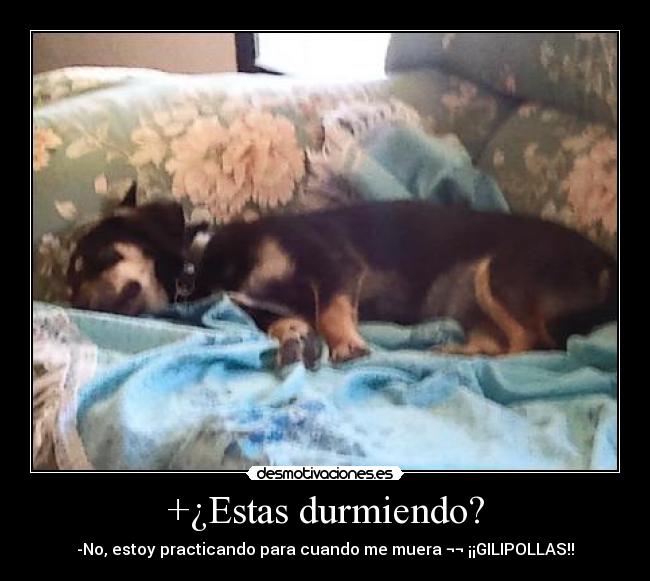 +¿Estas durmiendo? - 