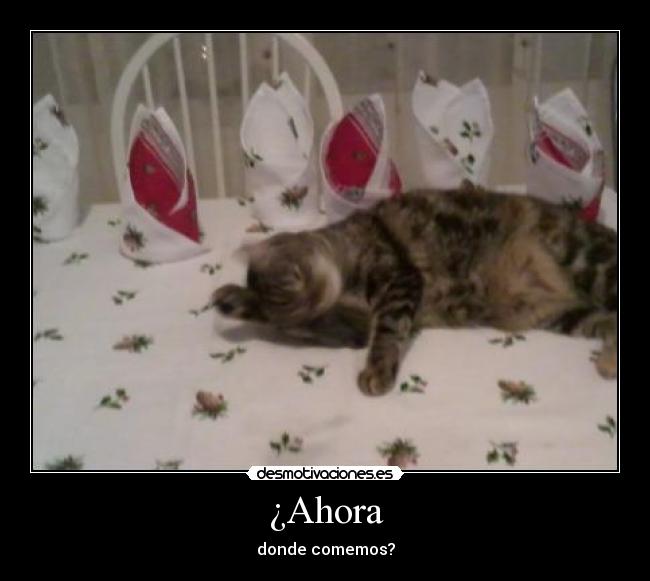 ¿Ahora - donde comemos?