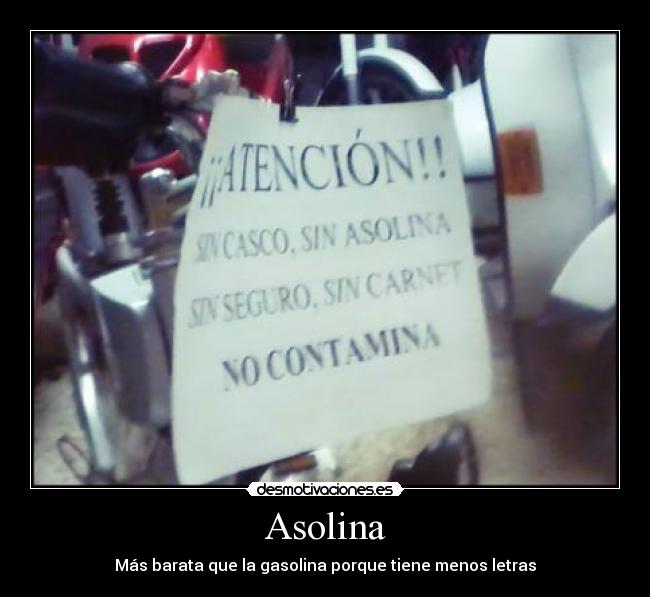 Asolina - 