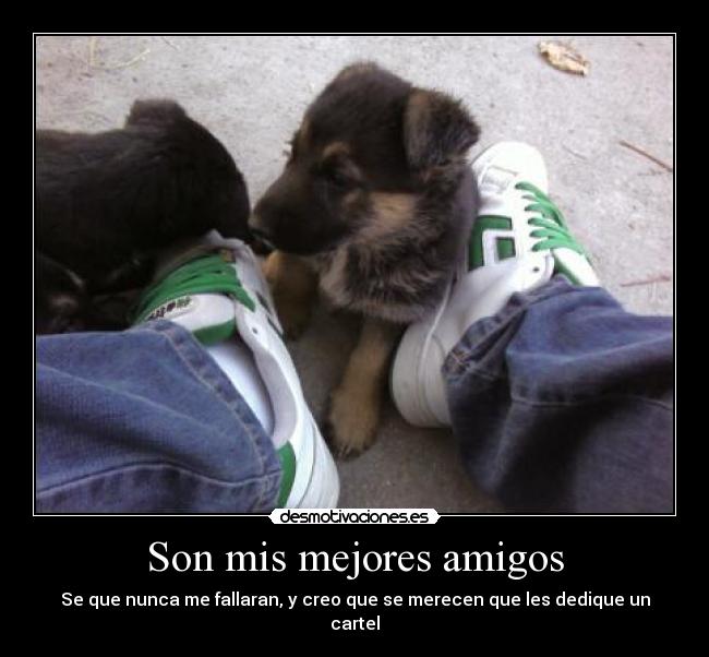 Son mis mejores amigos -