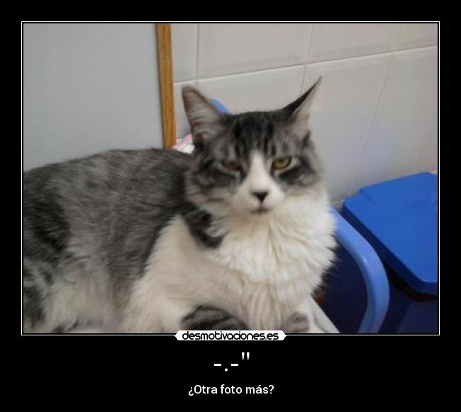 -.- - ¿Otra foto más?