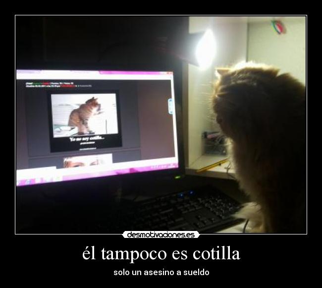 él tampoco es cotilla - solo un asesino a sueldo
