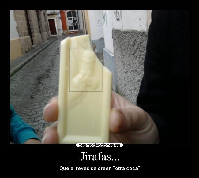 Jirafas... - 