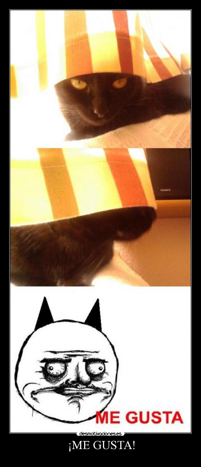 ¡ME GUSTA! -