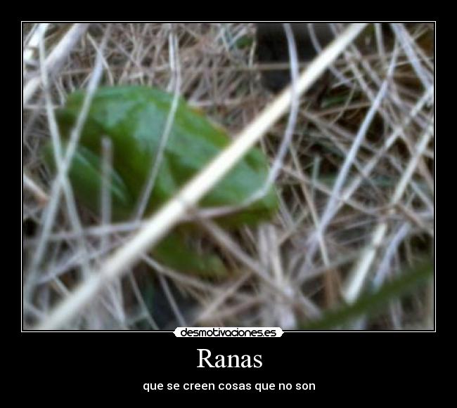 Ranas - que se creen cosas que no son