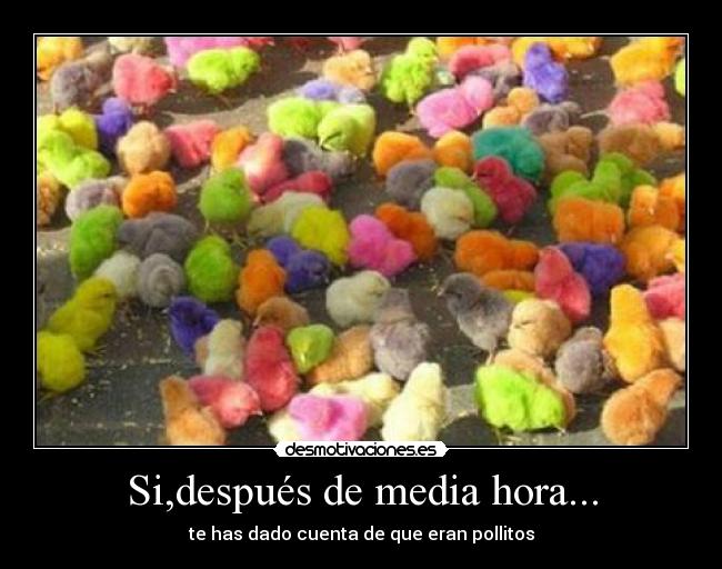 Si,después de media hora... -