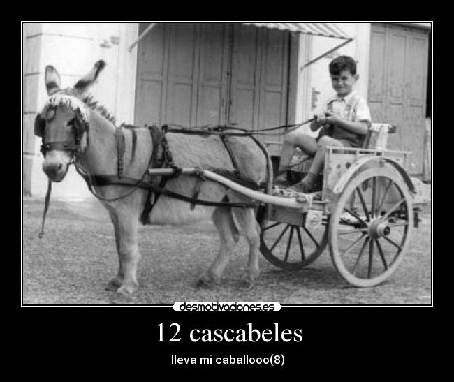 carteles foto desmotivaciones