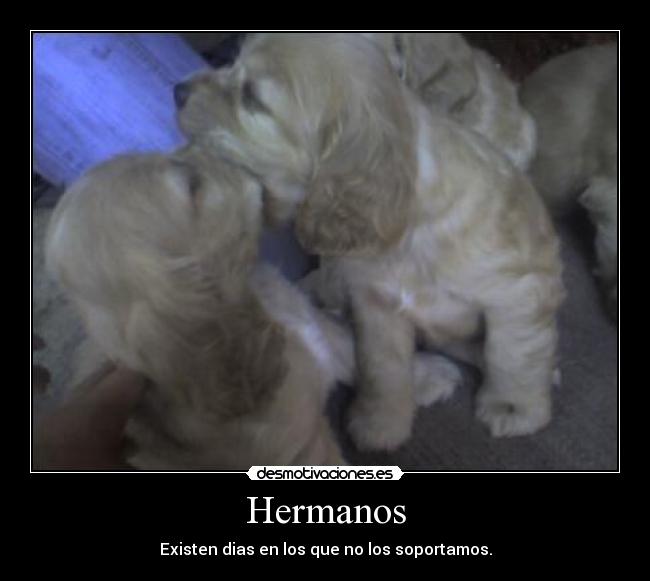 Hermanos - 