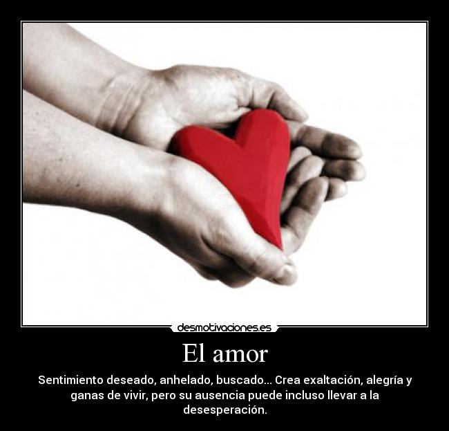 El amor - 