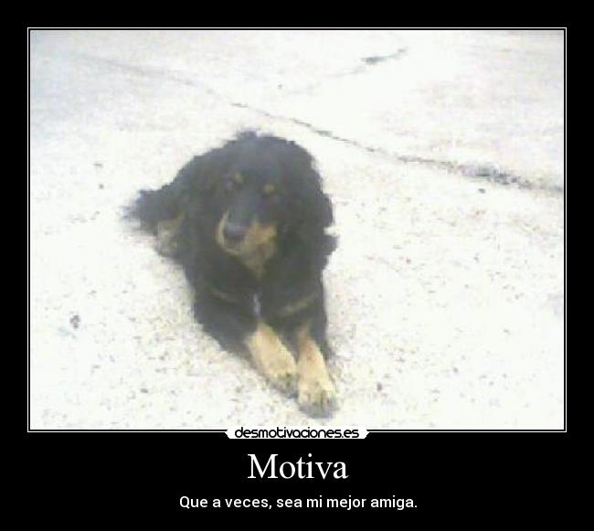 Motiva -