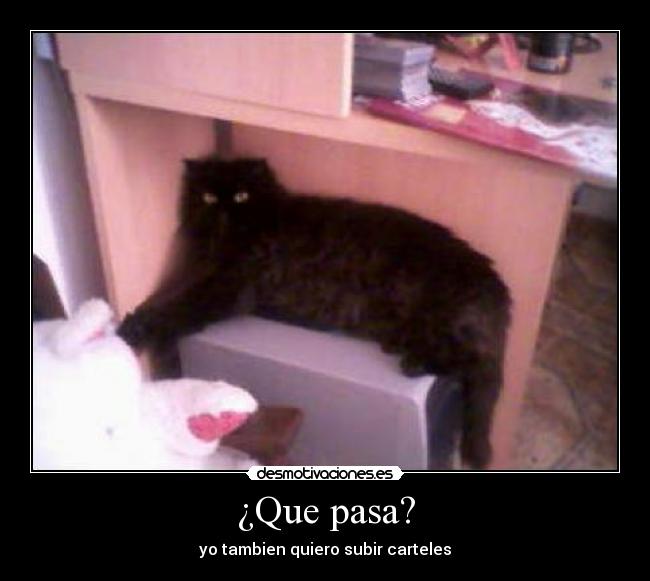 ¿Que pasa? - yo tambien quiero subir carteles