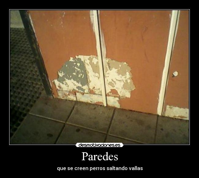 Paredes - que se creen perros saltando vallas