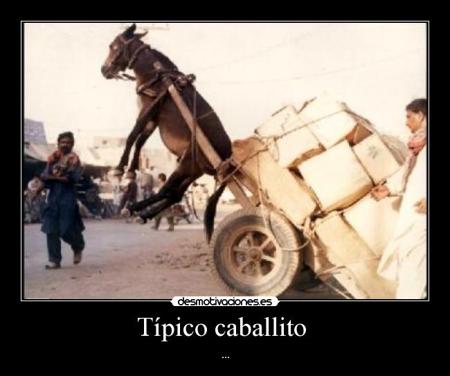 Típico caballito -