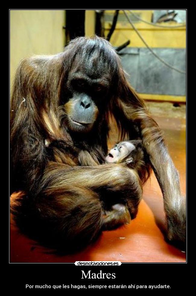 Madres - Por mucho que les hagas, siempre estarán ahí para ayudarte.