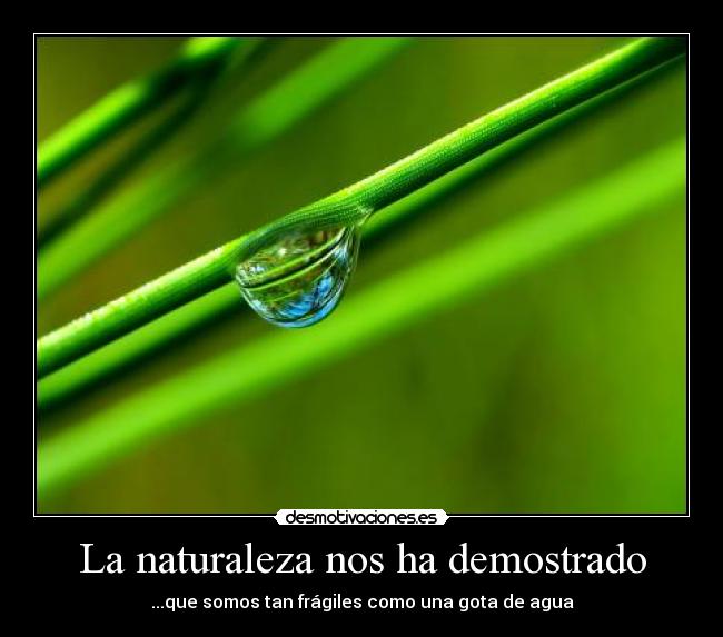 La naturaleza nos ha demostrado - ...que somos tan frágiles como una gota de agua
