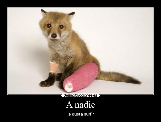 A nadie -
