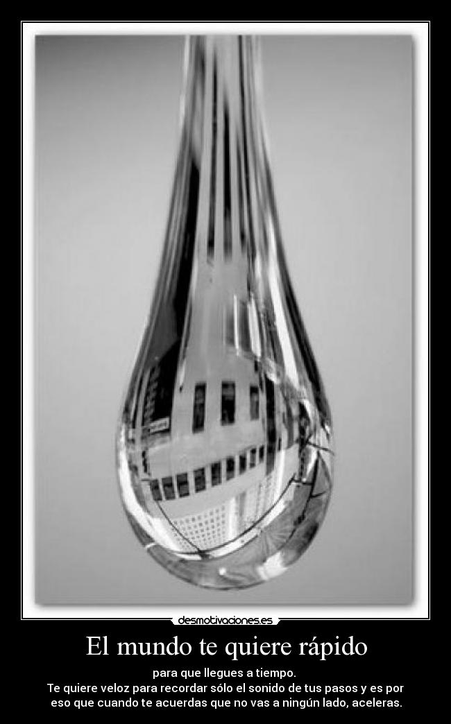 El mundo te quiere rápido -