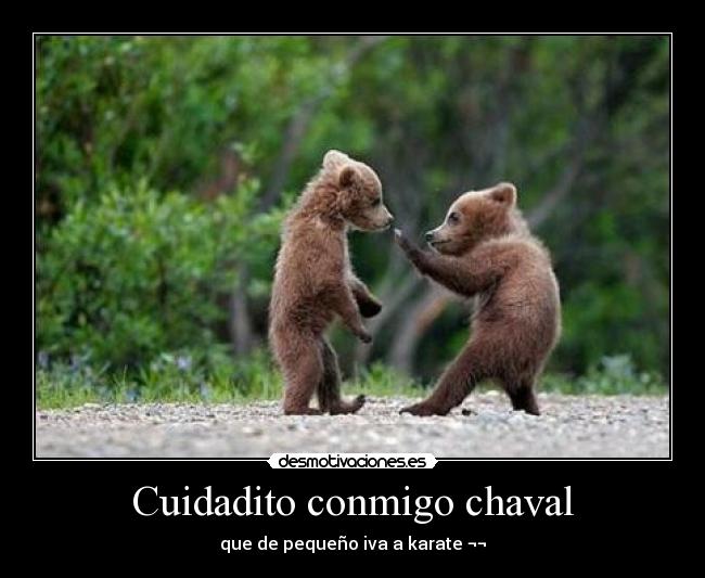 carteles jaja desmotivaciones