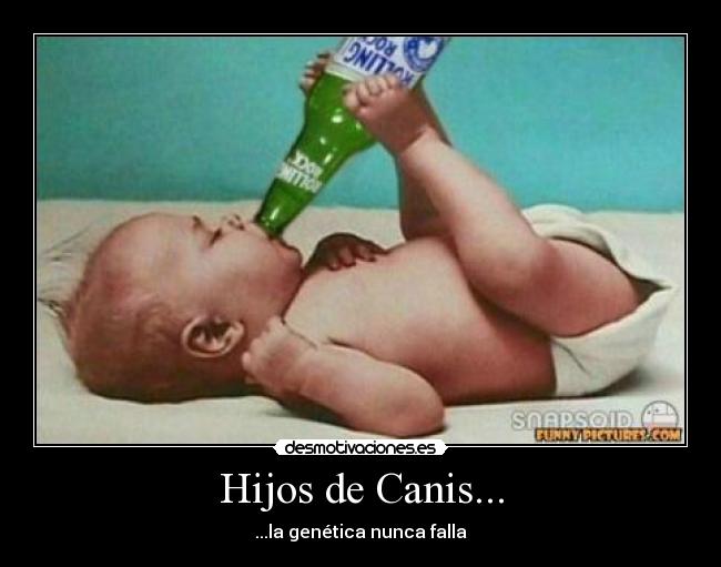 Hijos de Canis... - ...la genética nunca falla