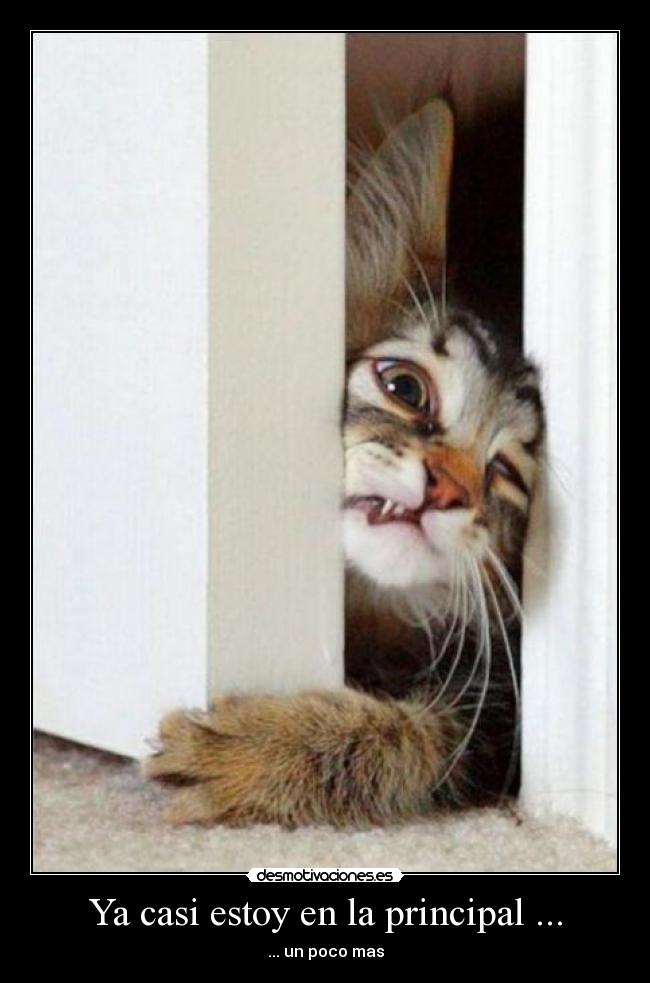 Ya casi estoy en la principal ... - ... un poco mas