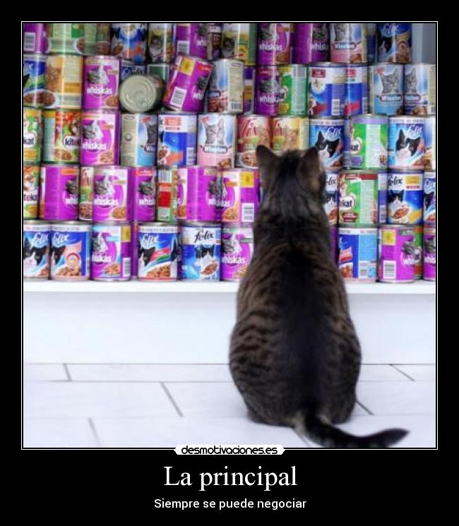 La principal - 