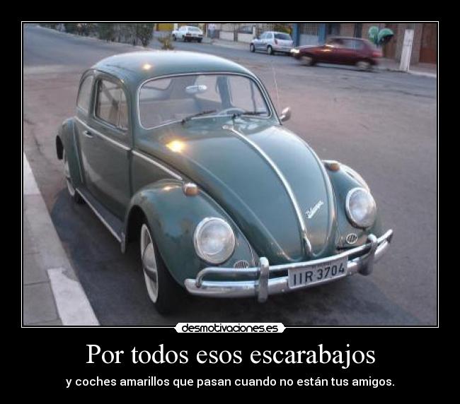 Por todos esos escarabajos -