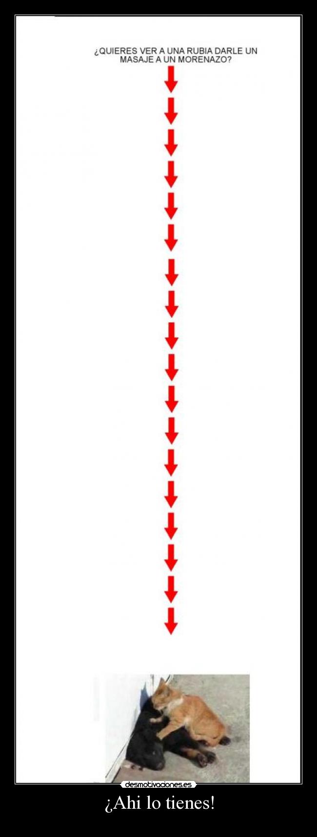 ¿Ahi lo tienes! - 