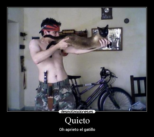 Quieto -