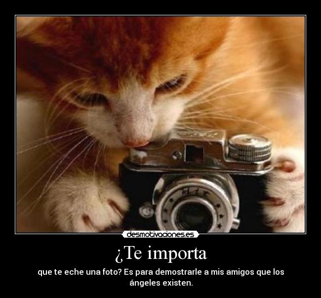 ¿Te importa -