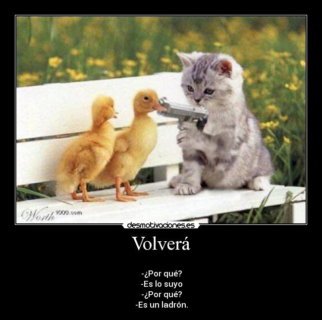 Volverá -