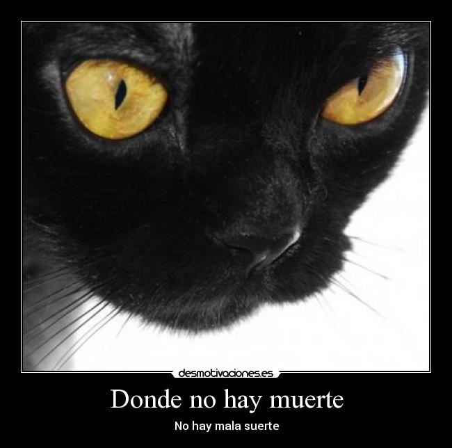 Donde no hay muerte - No hay mala suerte