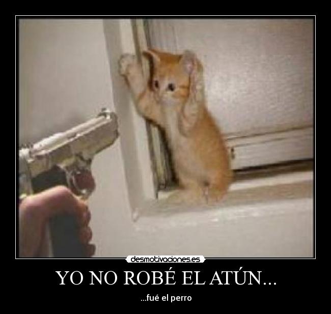YO NO ROBÉ EL ATÚN... - 