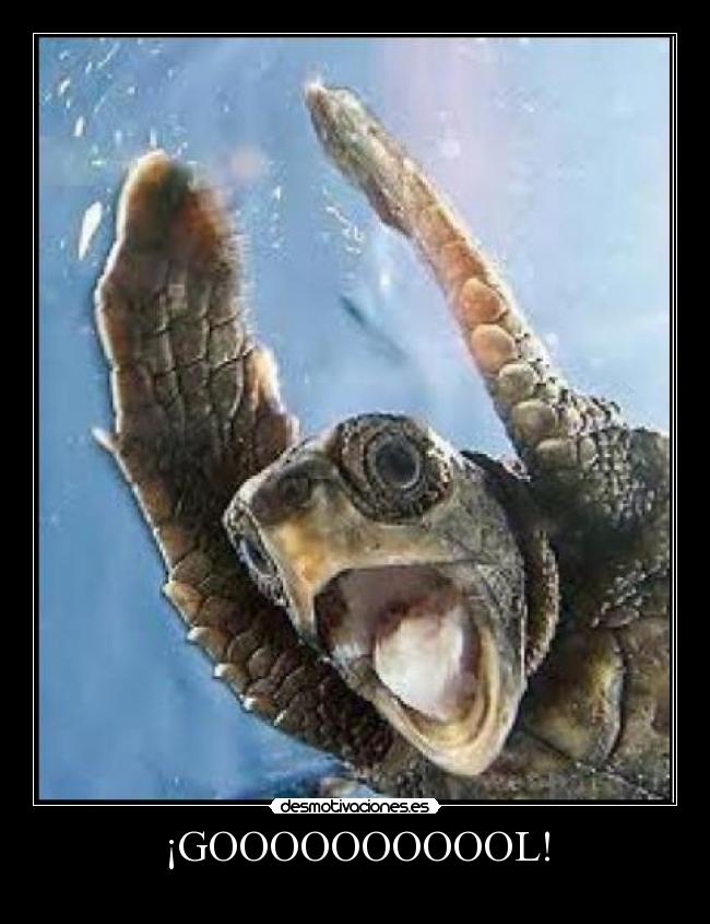 ¡GOOOOOOOOOOL! -