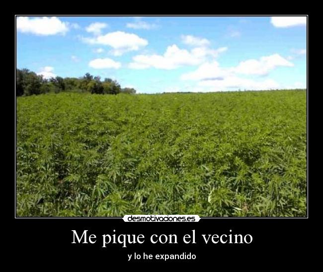 Me pique con el vecino -